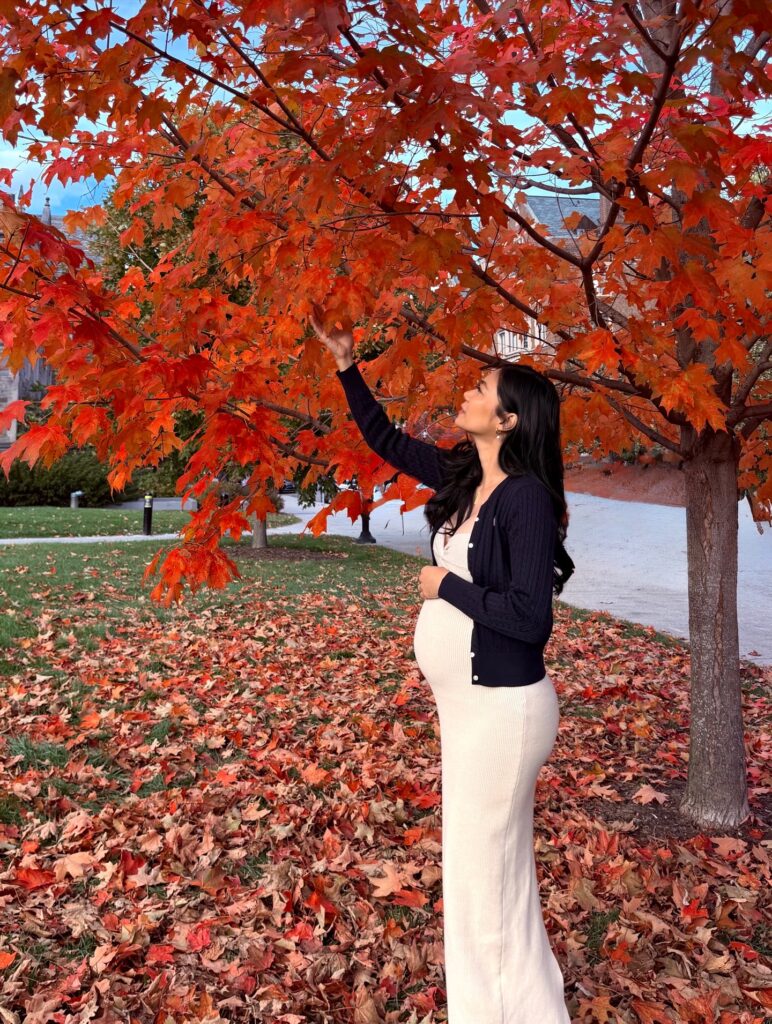 Pregnant woman in a cream ribbed knit maxi dress and a navy cropped cardigan reaching up toward red maple leaves in a park
